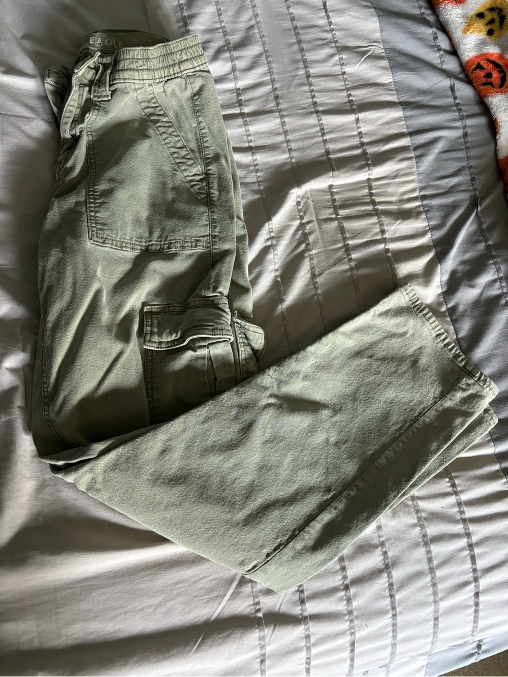American Eagle Outfitters Light Sage Green Cargo Pants